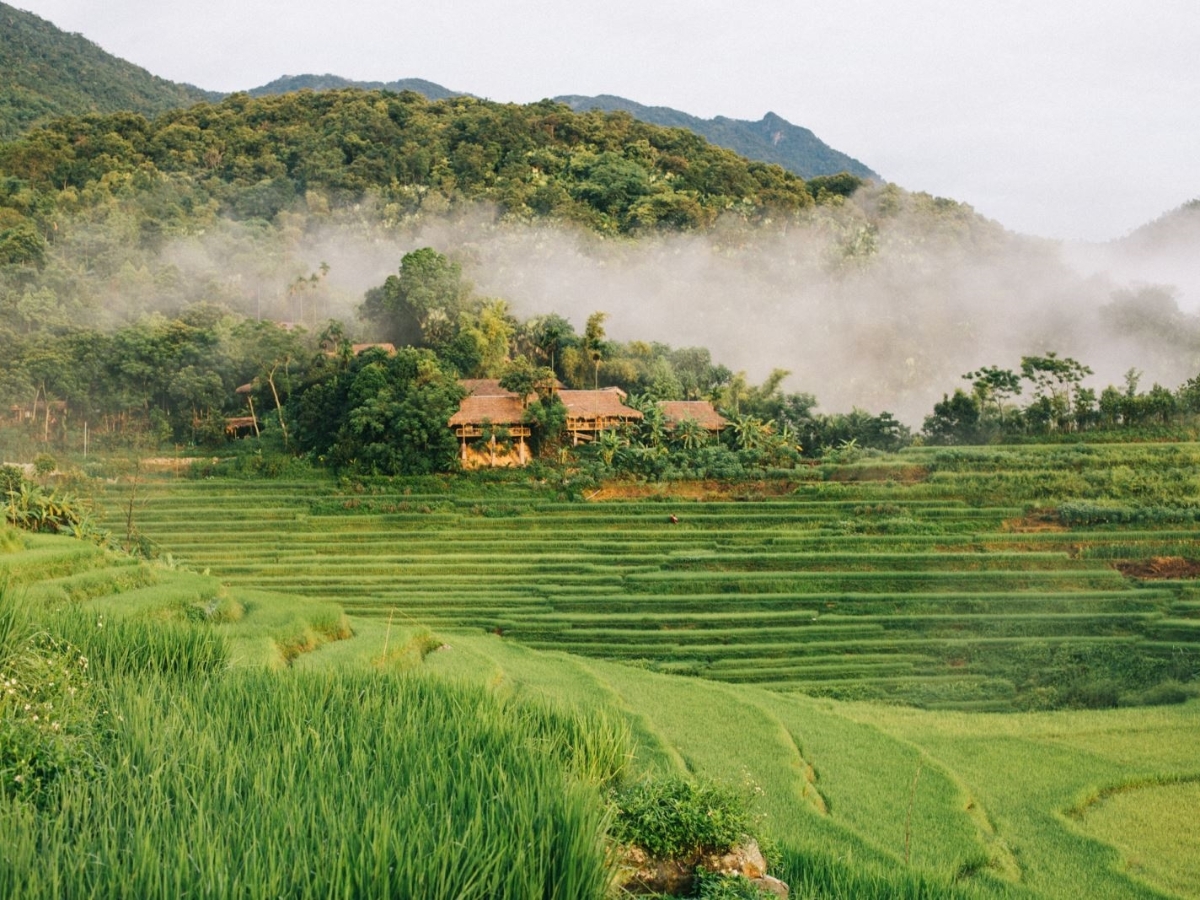 Pù Luông dịp Tết với khung cảnh yên bình, thơ mộng.