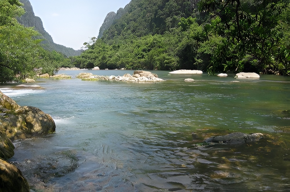 Dòng suối trong veo, lặng lẽ chảy giữa rừng xanh.
