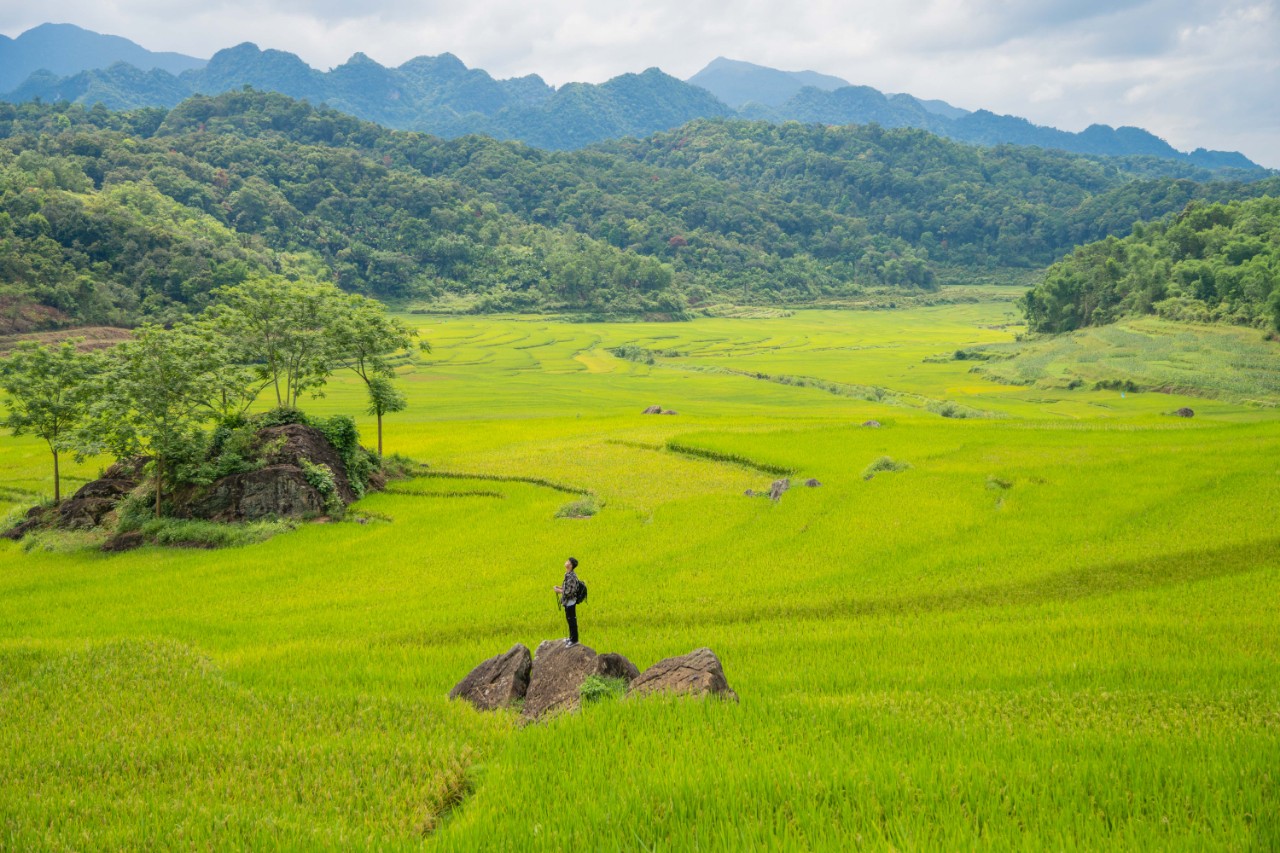 Tận hưởng nhịp sống chậm và không khí Tết vùng cao.