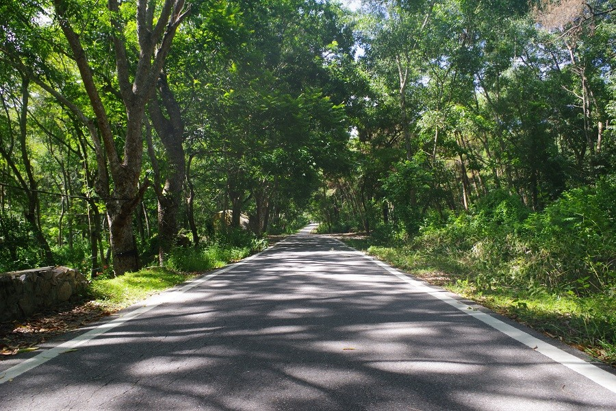 Cung đường đẹp như mơ khi lên núi Thủ Lệ. (