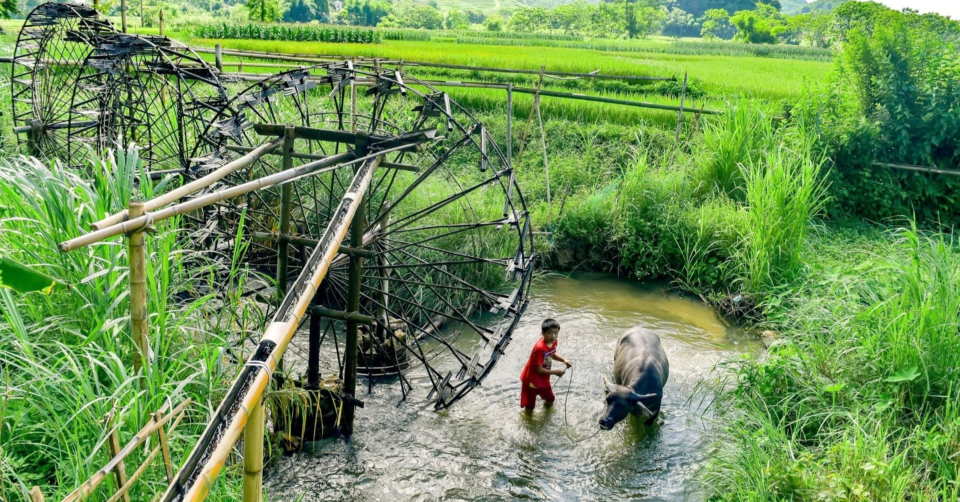 Guồng nước suối Chàm Pù Luông gắn chặt với nhịp điệu thiên nhiên và nông nghiệp của Pù Luông