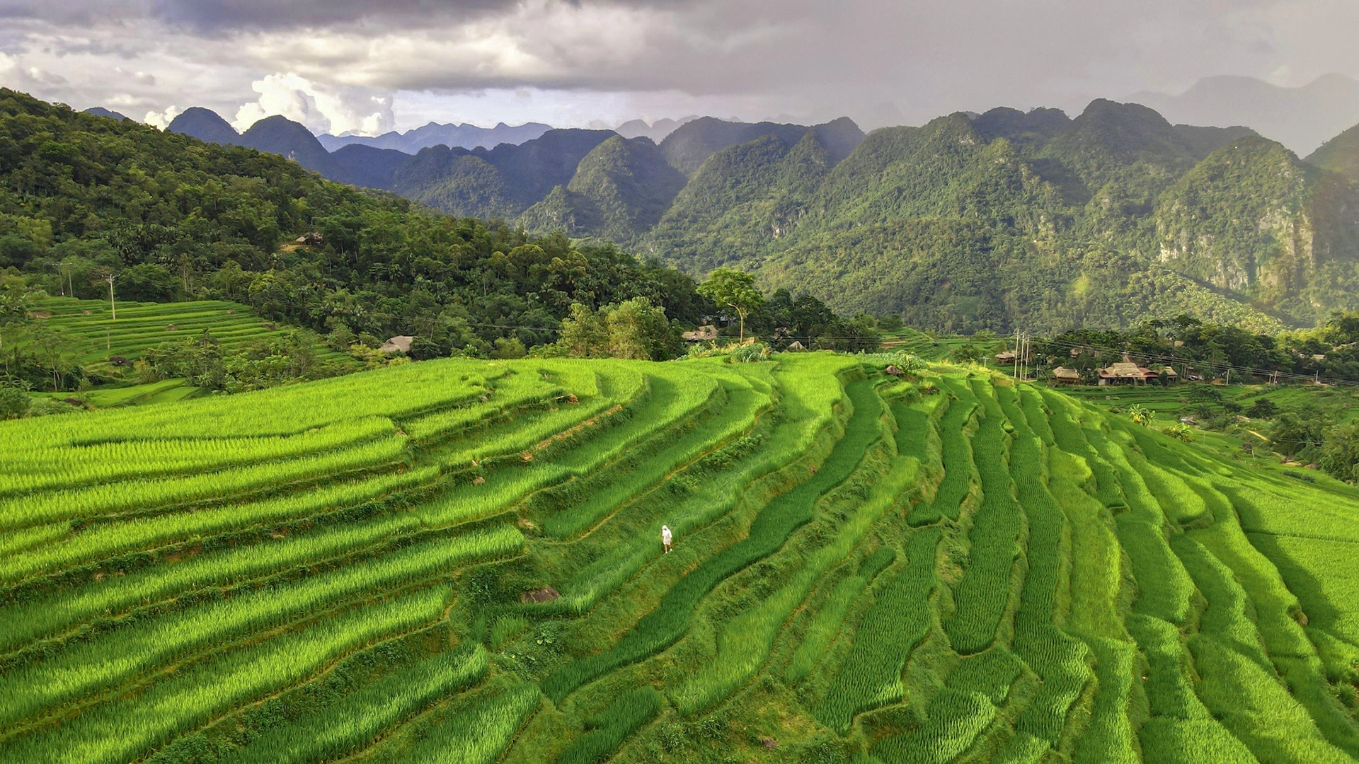 Các cung đường phổ biến cho tour xe đạp Pù Luông.