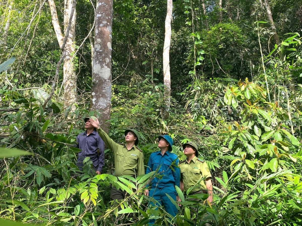 Khu bảo tồn thiên nhiên Pù Hu với không gian thiên nhiên nguyên sơ.