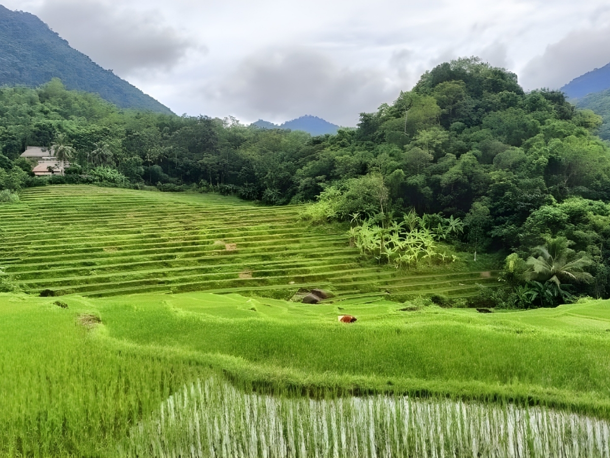 Bản Bút nằm tại xã Nam Xuân. tỉnh Thanh Hóa.