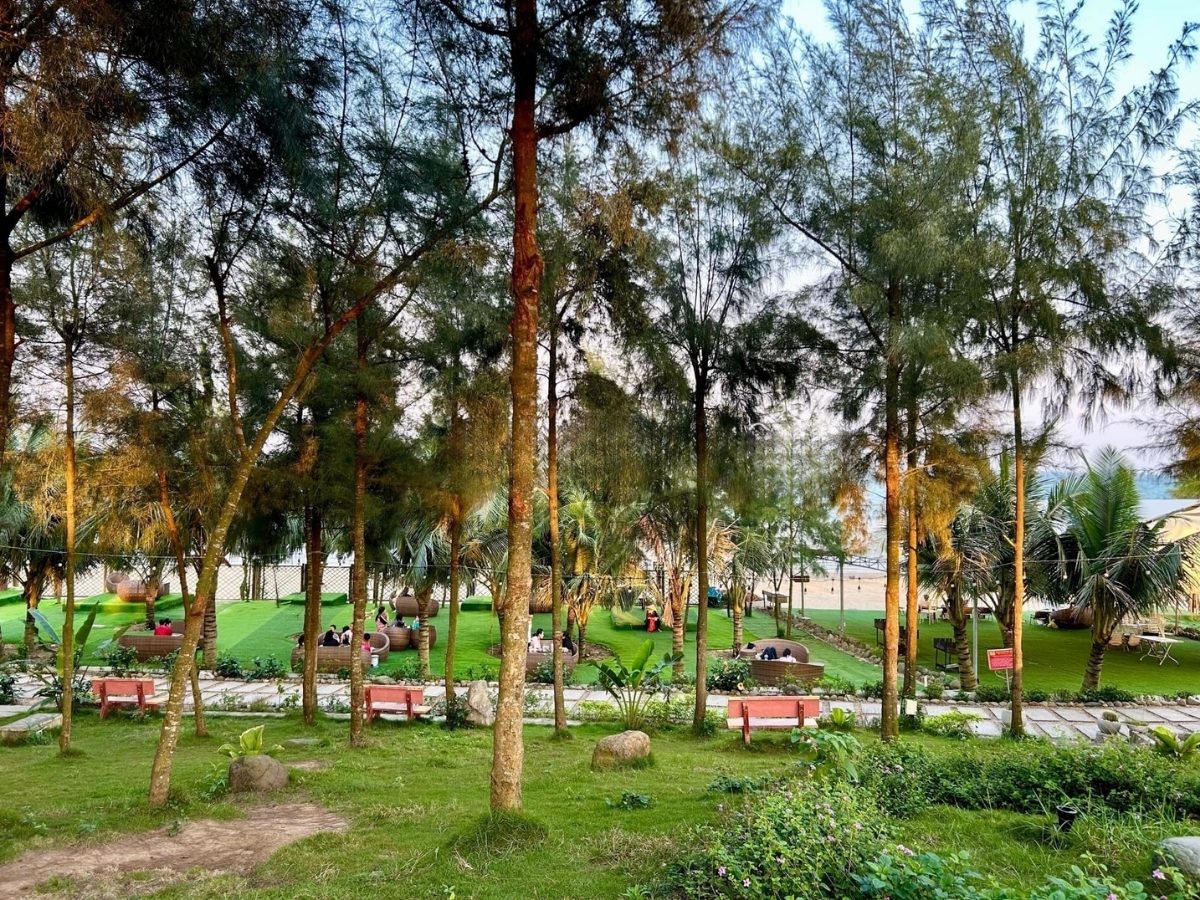 Không gian tại eo Gió bãi Ngang phù hợp với các hoạt động ngoài trời.