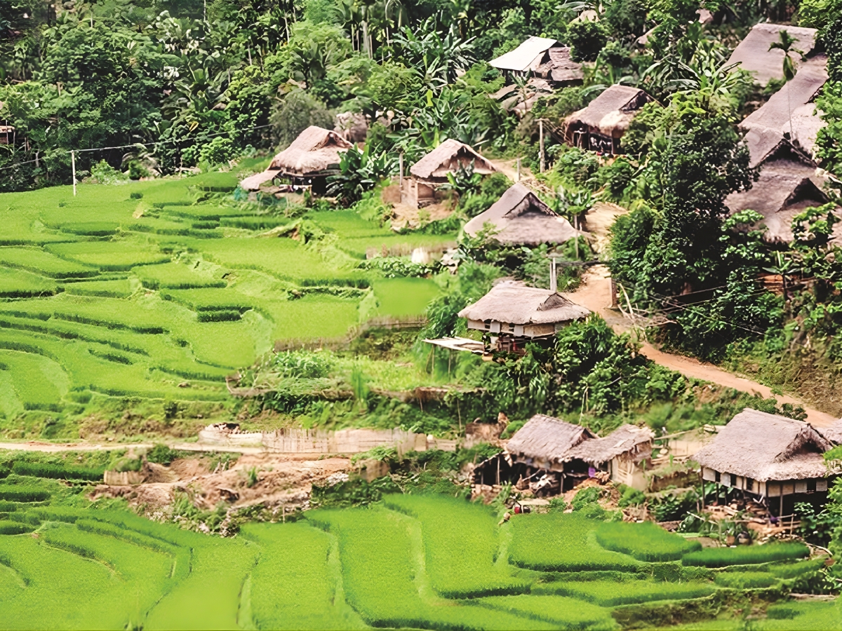 Bản Kho Mường là một bản làng nhỏ nằm trong Khu bảo tồn thiên nhiên Pù Luông.