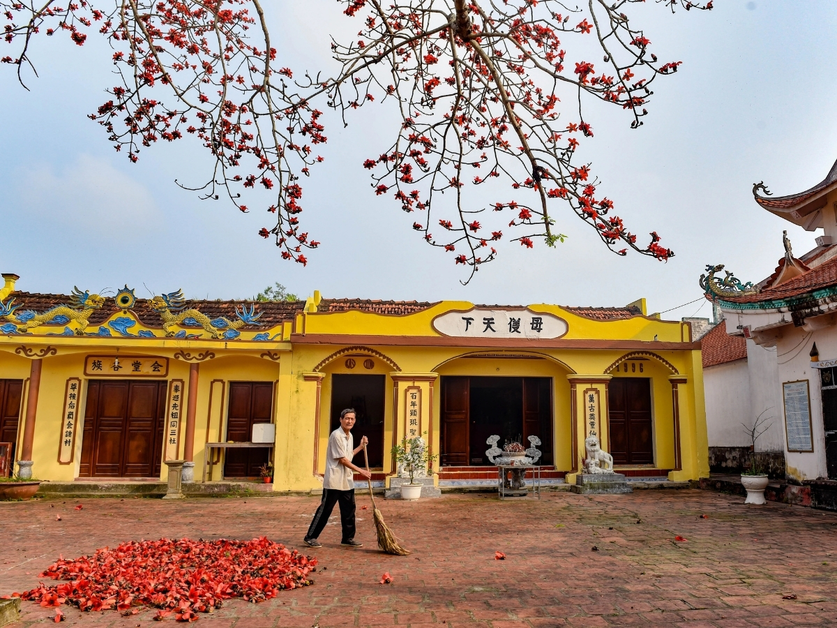 Cây gạo hàng trăm năm tuổi tại đền Cá Lập.