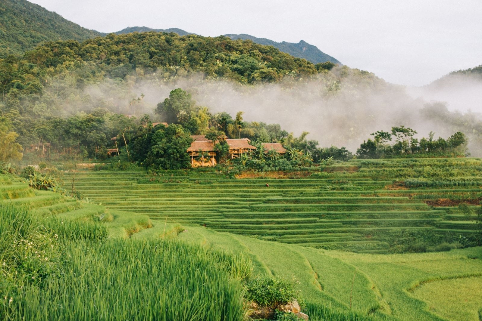 Pù Luông mang vẻ đẹp xanh mát và yên bình giữa núi rừng Thanh Hóa.