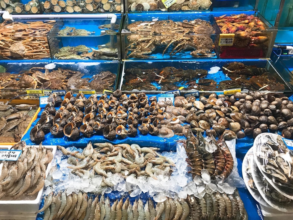 Chợ hải sản Sầm Sơn cung cấp nhiều loại hải sản tươi sống với mức giá phong phú.
