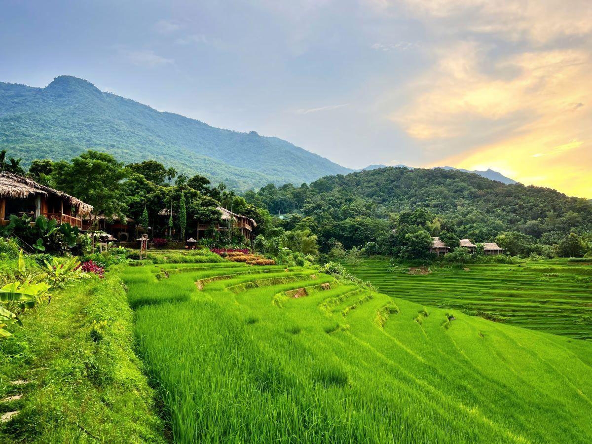 Khám phá Pù Luông trong ngày 2 với thiên nhiên xanh mát và bản làng yên bình.