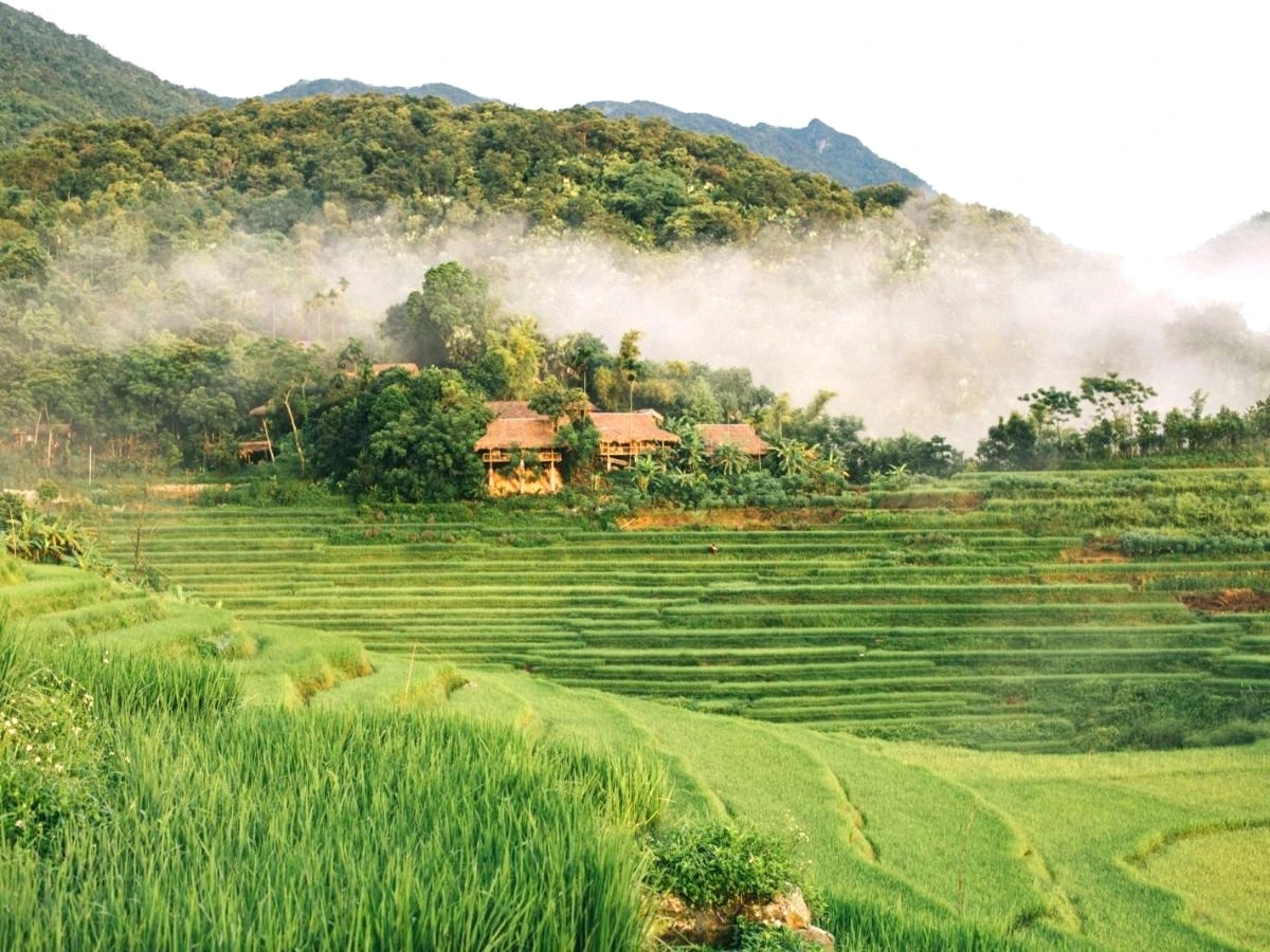 Sắc xanh mướt phủ kín ruộng bậc thang Pù Luông tạo nên cảnh quan ấn tượng.