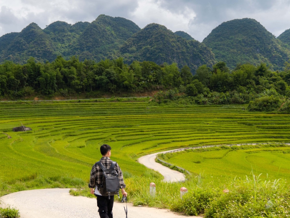 Khung cảnh ruộng bậc thang xanh mướt tạo điểm check-in ấn tượng tại Pù Luông.