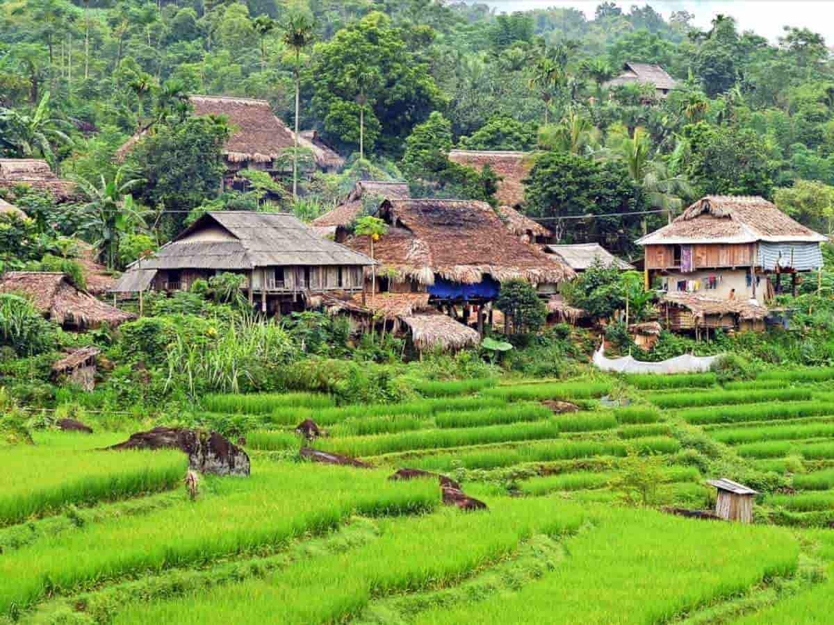 Bản làng người Thái tại Pù Luông mang vẻ đẹp bình yên, mộc mạc.