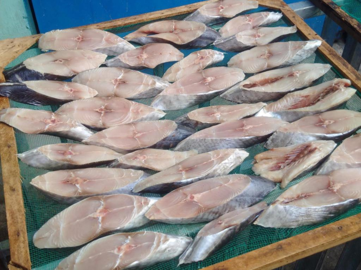 Những miếng cá được vệ sinh và xếp đều trước khi đem đi phơi nắng