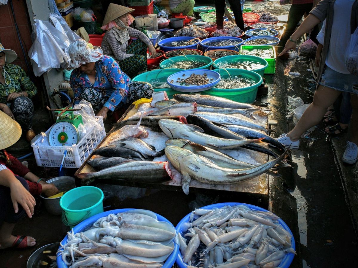 Chợ Xóm Lưới Vũng Tàu có nhiều loại hải sản tươi sống