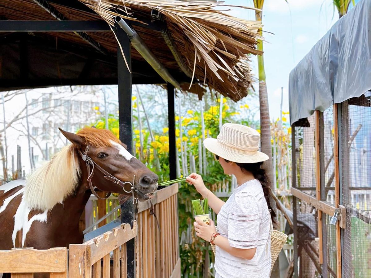 Trải nghiệm chăm sóc động vật tại Ulala Farm Vũng Tàu