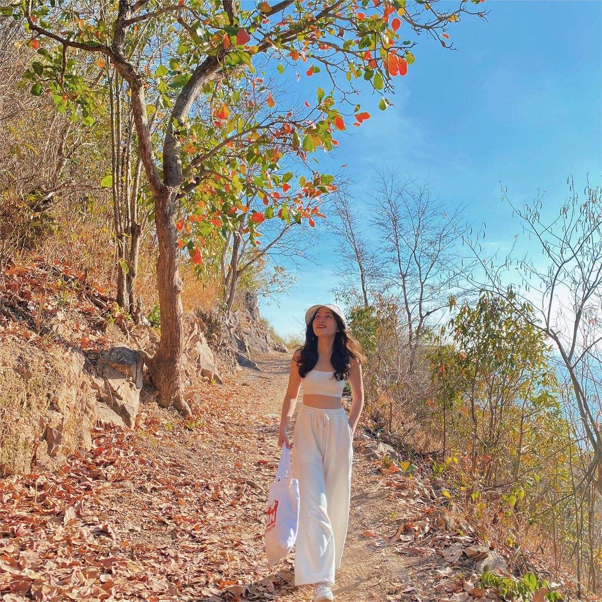 Khung cảnh mùa lá khô tại Núi Lớn