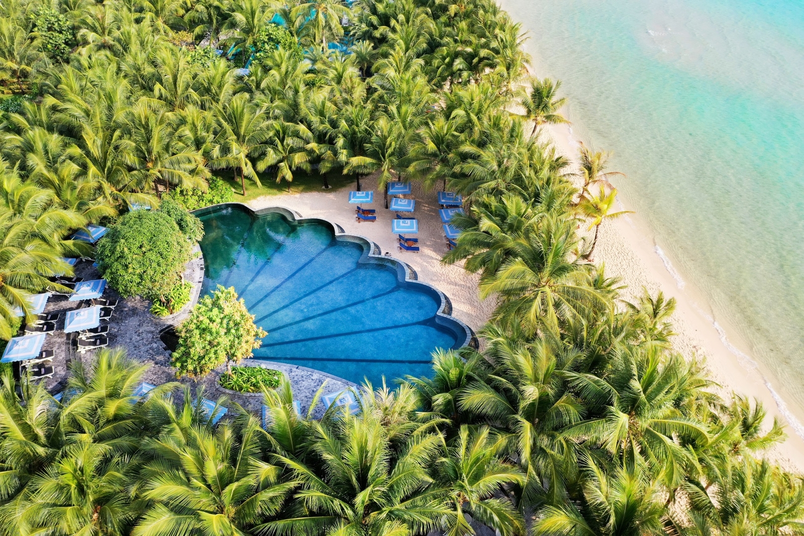 Sun Paradise Land
